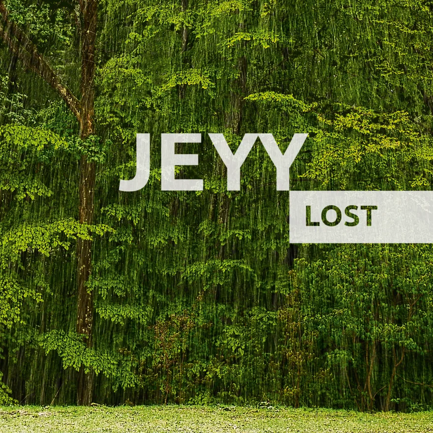 Lost cover